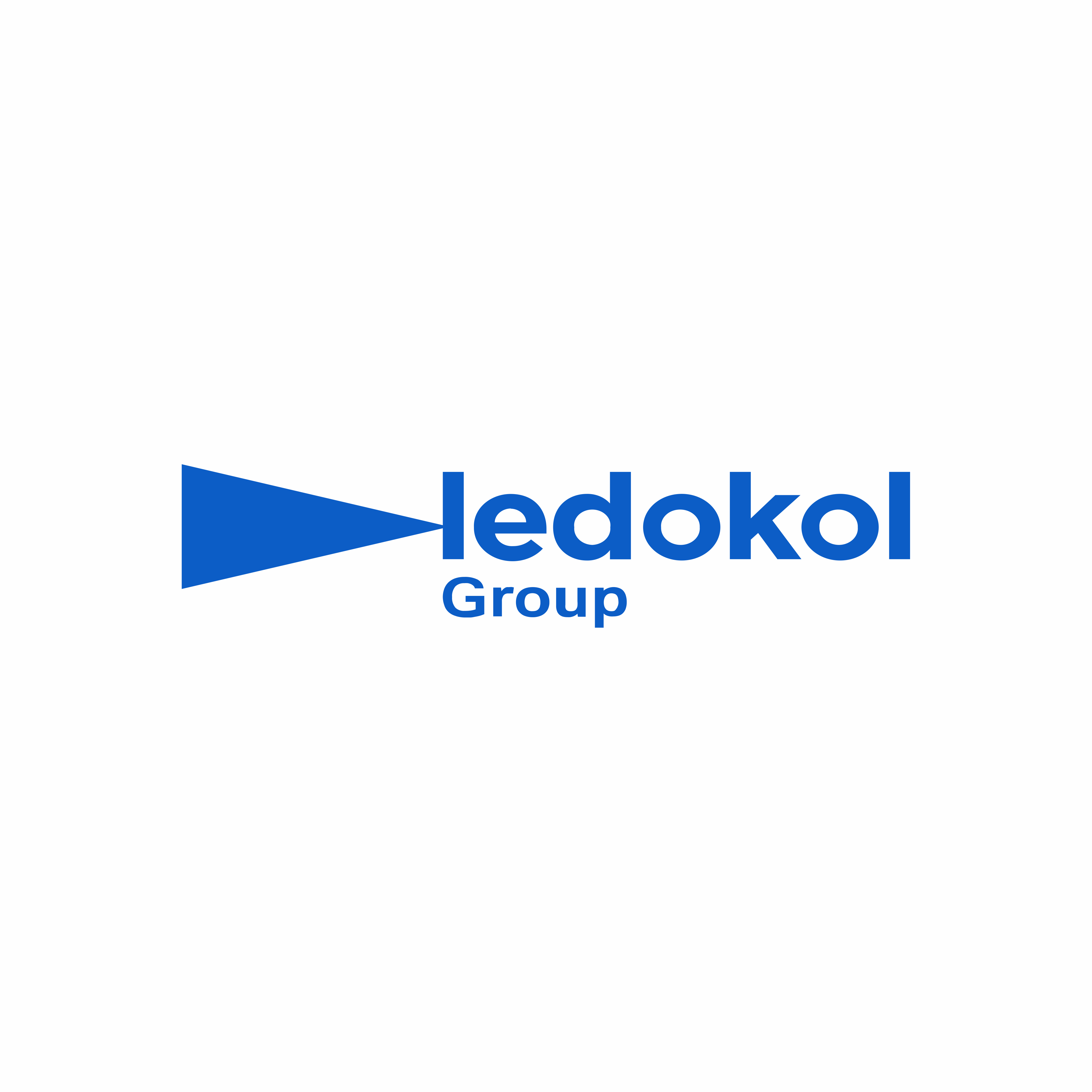 logo Ledokol Group