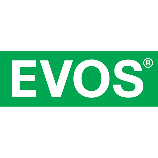 logo EVOS