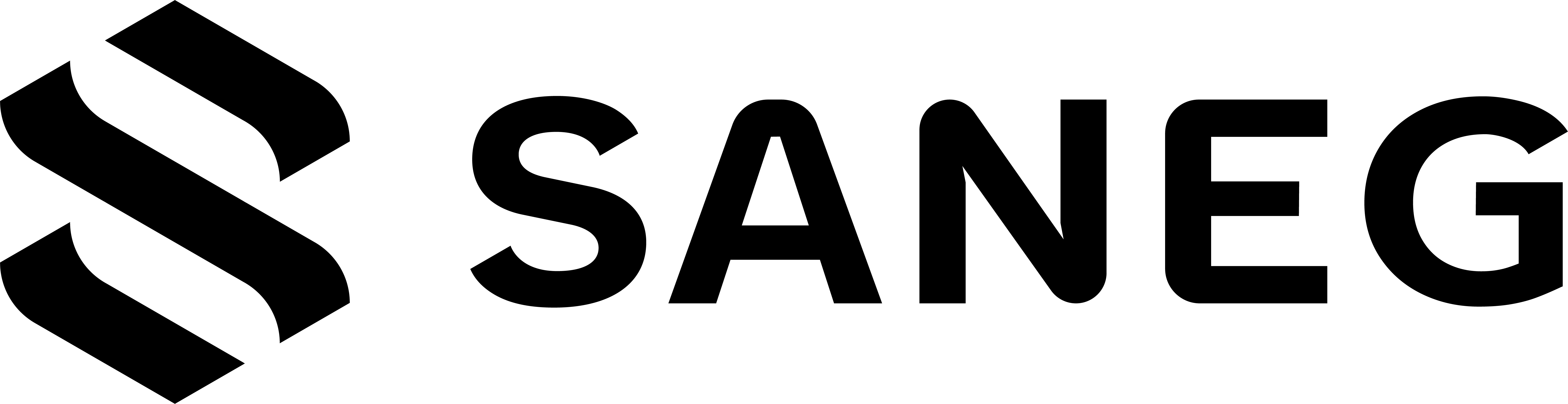 logo SANEG